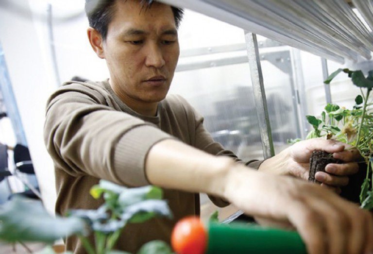 20 гаруй төрлийн жимс, ногоог тасалгаандаа тарих боломжтой