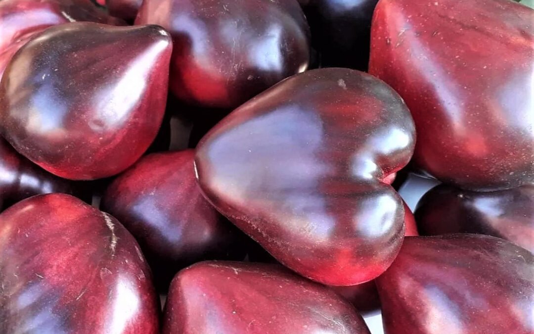 Чероки Фиолетовое Сердце